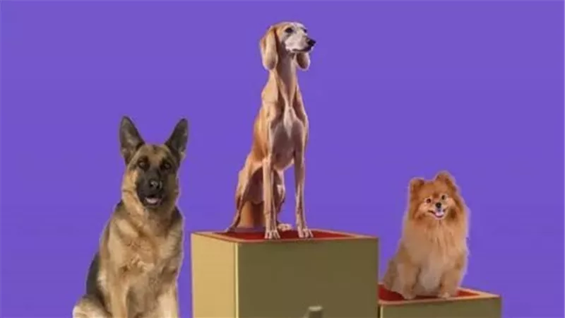 تركي آل شيخ يكشف عن موعد 