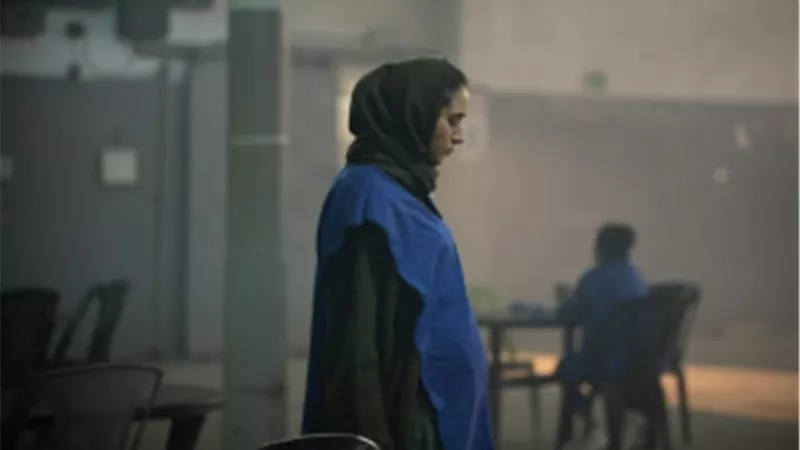فيلم 