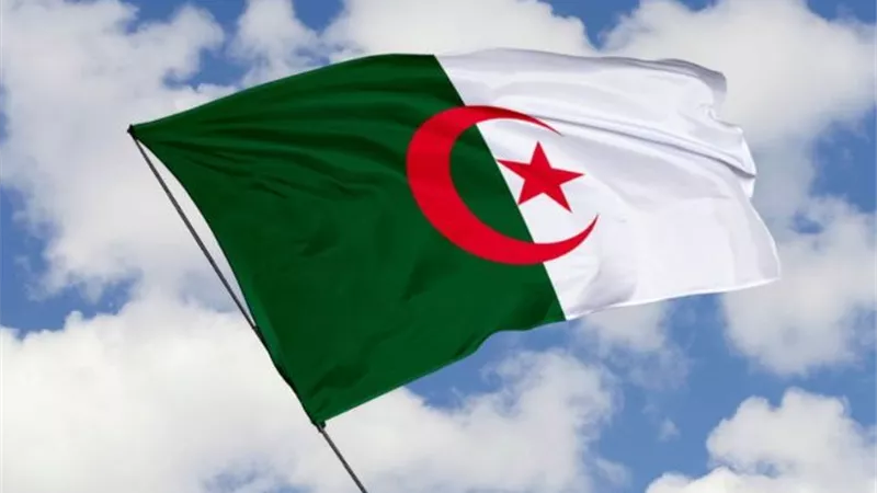 أمل بوشوشة نجمة كرة اليد الجزائرية تعرف على إنجازاتها في الساحة الرياضية 