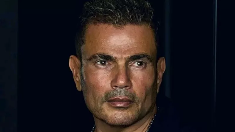 منهم عادل إمام وعمرو دياب.. ماذا توقعت ليلى عبد اللطيف للمشاهير في 2025؟  