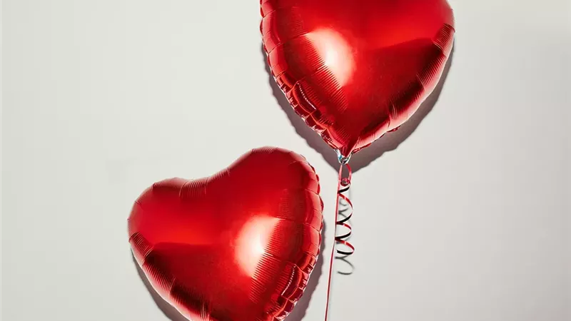 في عيد الحب.. 5 طرق مختلفة يمكنك التعبير من خلالها عن حبك  