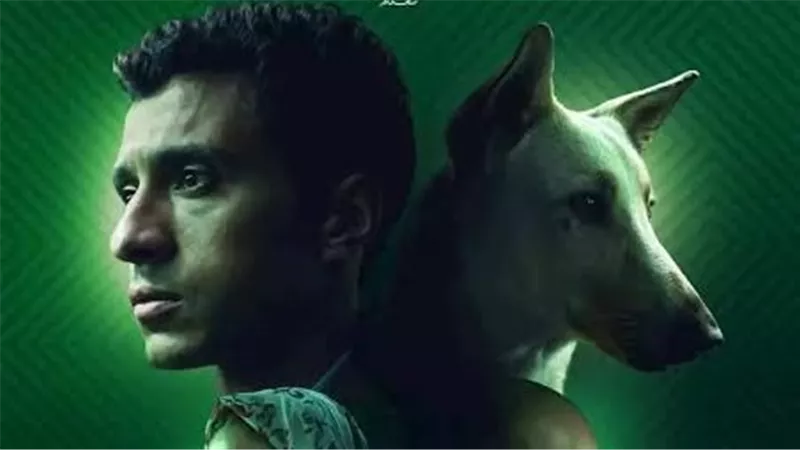 الليلة.. عرض فيلم 