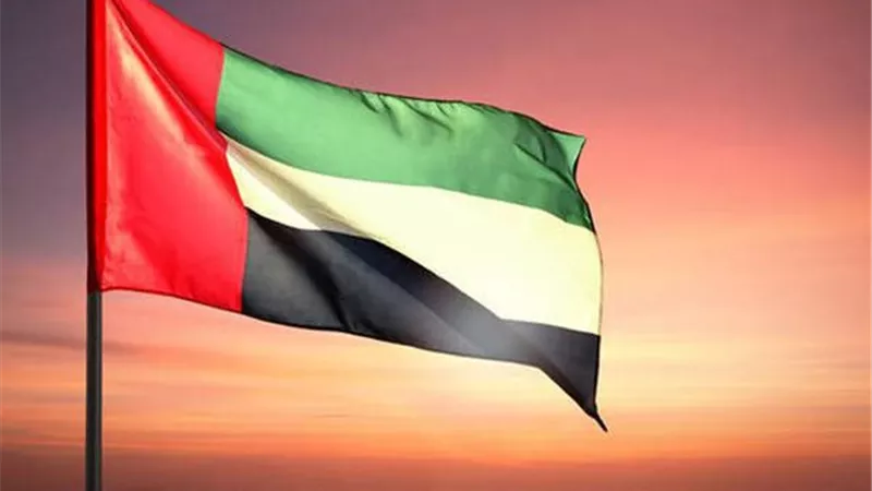 الإمارات تحقق نقلة نوعية في التحول الرقمي