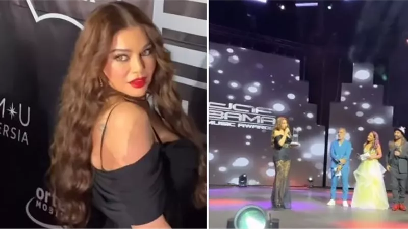 هيفاء وهبي وأسما لمنور وسيلاوي.. تفاصيل تكريم نجوم العرب والعالم في حفل DAF BAMA في ألمانيا 