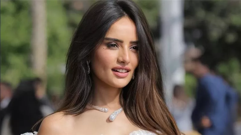 منهم بنات الباشا وورد وشوكولاتة.. 3 أعمال تنتظرها زينة 