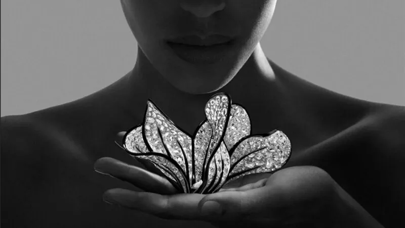  دار Boucheron تكشف عن أحدث مجموعاتها ضمن خط Carte Blanche 