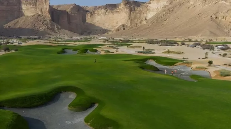 شراكة مع 