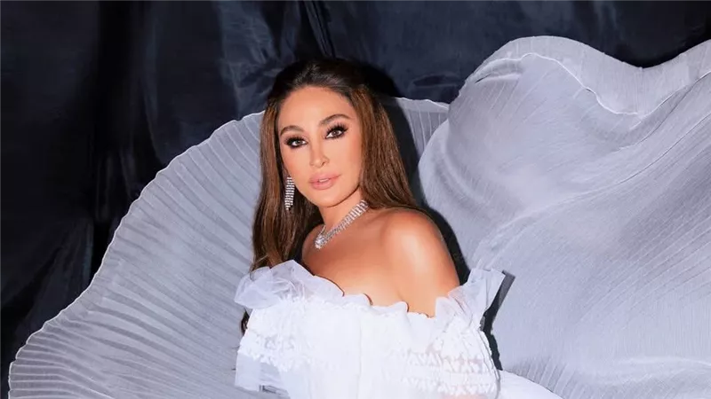 إليسا: ألبومي ما لحق الصيف ولكن أول أغنية أطرحها في سبتمبر 