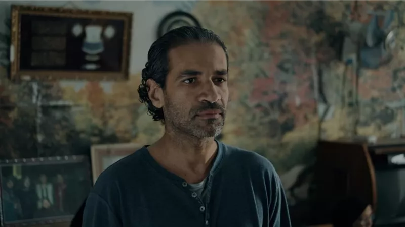 بعد سلسلة من الجوائز الدولية.. 