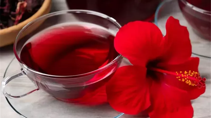 ماذا يفعله شرب شاي الكركديه بانتظام لصحة القلب والجهاز الهضمي؟