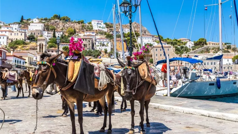 قرية على بعد ساعة ونصف من أثينا .. ممنوع فيها السيارات