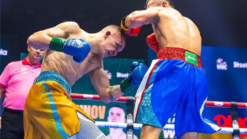  8 ملاكمين يتأهلون إلى نهائيات WBC في الرياض
