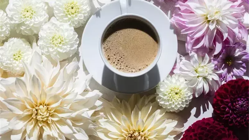 5 طقوس صحية بسيطة قد تجعلك أكثر سعادة
