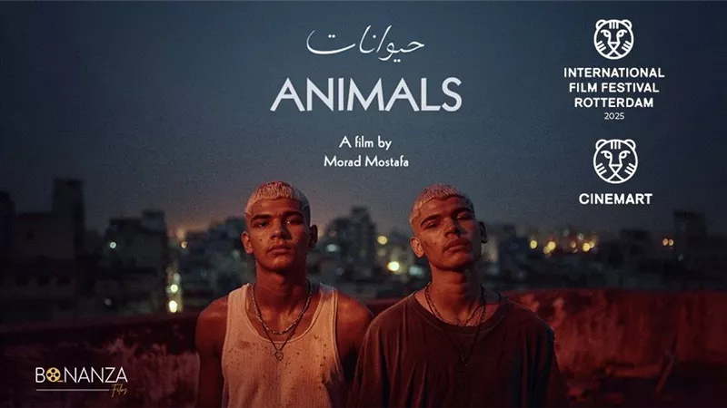 مشاركة فيلم حيوانات في سيني مارت مهرجان روتردام السينمائي