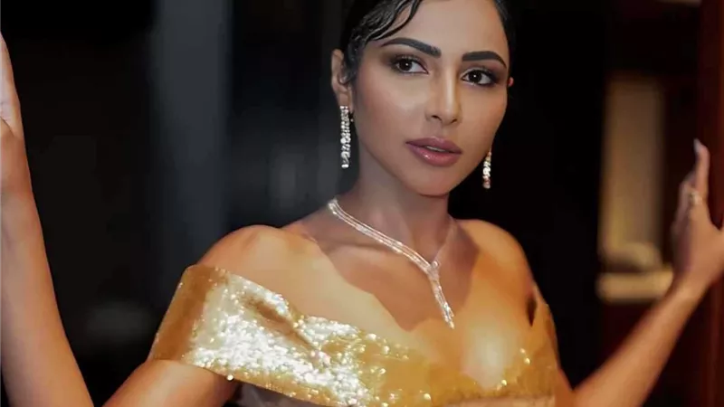 مهيرة عبد العزيز تدخل عالم الدراما المصرية من بوابة مسلسل 