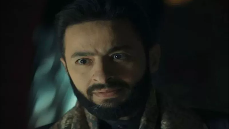 حمادة هلال يعلن الحرب على هبة مجدي في مسلسل 