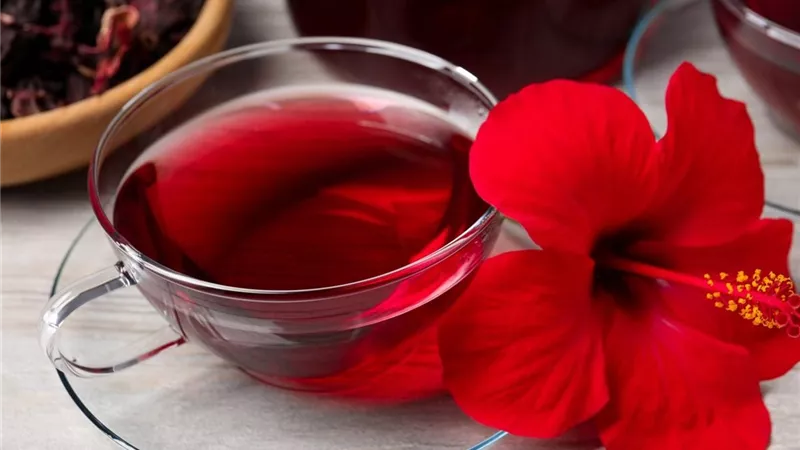مشروبات رمضان.. فوائد الكركديه وعلاقته بالضغط المرتفع