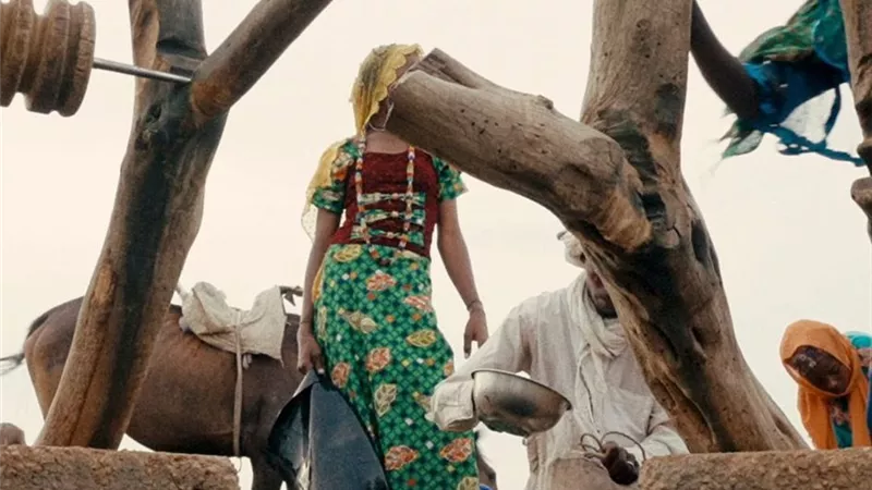 مهرجان الإسكندرية للفيلم القصير يعلن قائمة مسابقة الفيلم الوثائقي