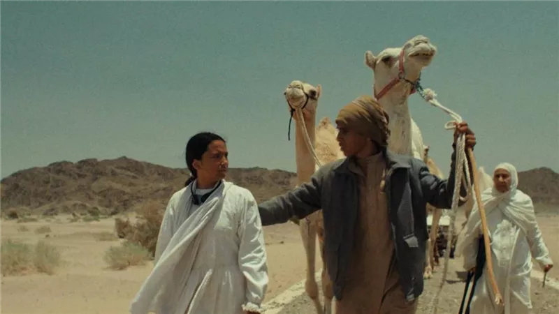 الفيلم السعودي 