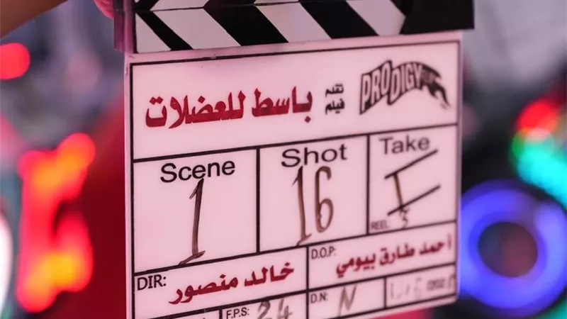 أحمد مالك وميشيل ميلاد يبدآن تصوير فيلم «باسط للعضلات»