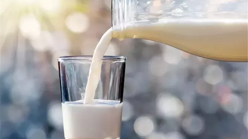 أفضل أنواع الحليب الصحية.. كيف تختار الخيار المناسب لاحتياجاتك الغذائية؟