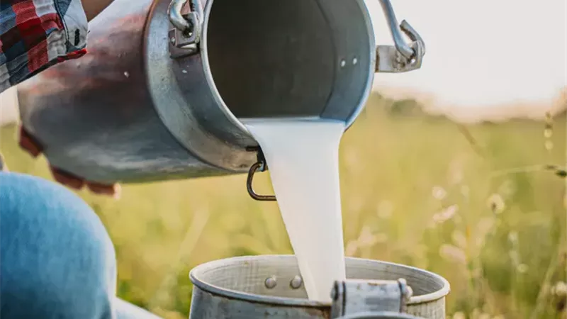 احذرها.. 5 صيحات صحية منتشرة على السوشيال ميديا قد تعرضك لمخاطر خطيرة