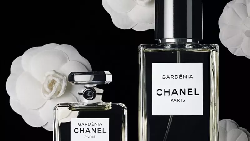     شانيل تعيد إحياء Gardénia.. عطر يحمل إرث الدار في زجاجة واحدة